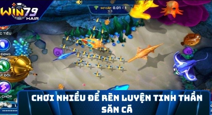 Cách sử dụng điểm hiệu quả tại cổng game bắn cá Win79