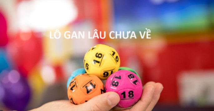 Những lưu ý khi nuôi lô gan lâu chưa ra