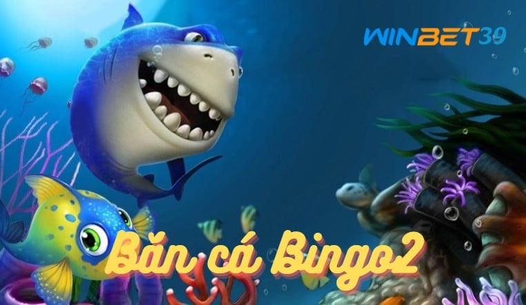 Chơi bắn cá Bingo2 săn quà thưởng nóng
